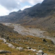 02T Gran Paradiso wild trekking Canavese Piemonte goy3