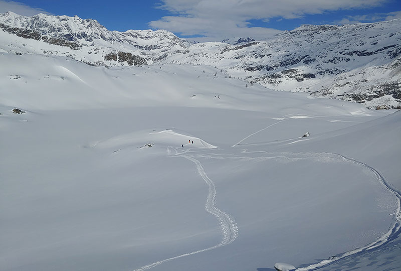 06T Gran Paradiso snow wildness trekking Canavese Piemonte-01