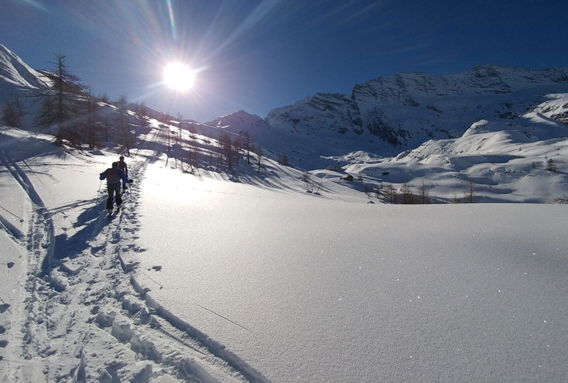 06T Gran Paradiso snow wildness trekking Canavese Piemonte-02