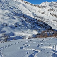 06T Gran Paradiso snow wildness trekking Canavese Piemonte-03