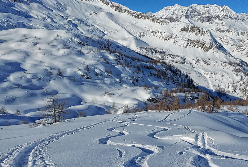 06T Gran Paradiso snow wildness trekking Canavese Piemonte-03