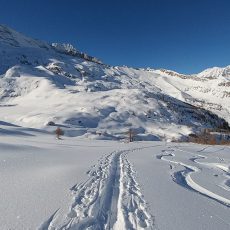 06T Gran Paradiso snow wildness trekking Canavese Piemonte-04
