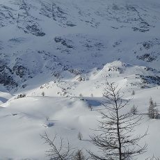 06T Gran Paradiso snow wildness trekking Canavese Piemonte-05