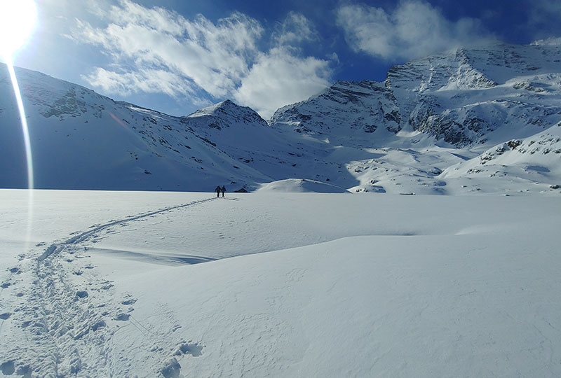 06T Gran Paradiso snow wildness trekking Canavese Piemonte-09