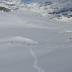 06T Gran Paradiso snow wildness trekking Canavese Piemonte-13