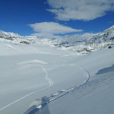 06T Gran Paradiso snow wildness trekking Canavese Piemonte-14