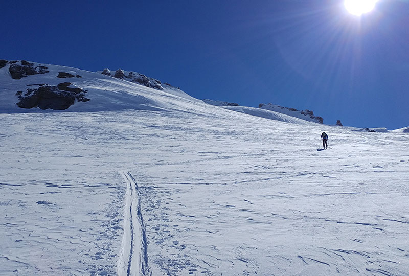 Sci Alpinismo tour del Gran Paradiso Piemonte e Valle d'Aosta 04